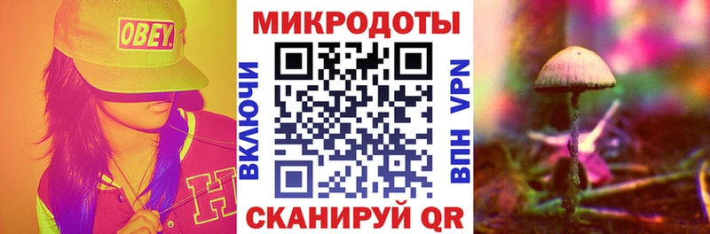 Купить где  Славск  Псилоцибиновые грибы Psilocybine cubensis 