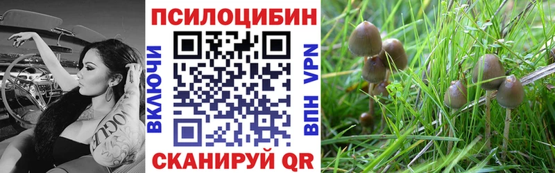 Галлюциногенные грибы Cubensis Славск
